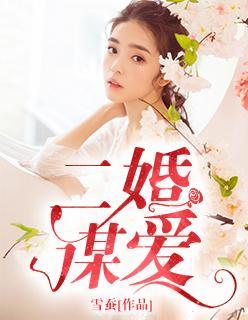二婚谋爱封面