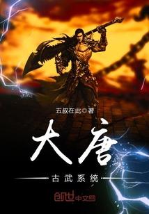 大唐古武系统封面
