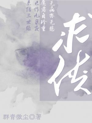 求侠封面