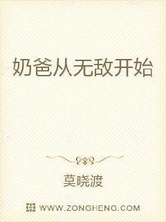 奶爸从无敌开始封面