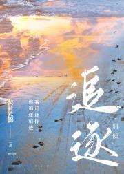 追逐[刑侦]封面