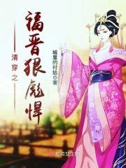 清穿之福晋狠彪悍封面