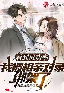 看到成功率，我被相亲对象绑架了封面