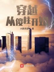 穿越从傻柱开始封面