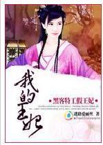 黑客王妃，生活就得嗨！封面