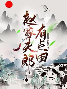 赵家夫郎有点田封面