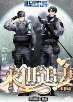 末世追妻封面