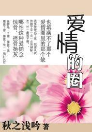 爱情的圈封面