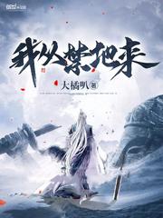 我从禁地来封面