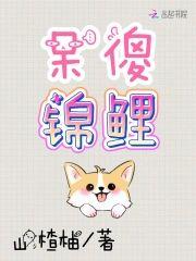 呆傻锦鲤封面