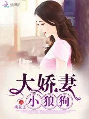 大娇妻，小狼狗封面