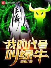 我的代号叫绿牛封面