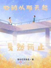 心动从那天起戛然而止封面