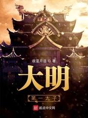 大明第一太子封面