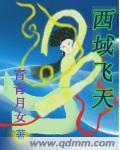 西域飞天封面