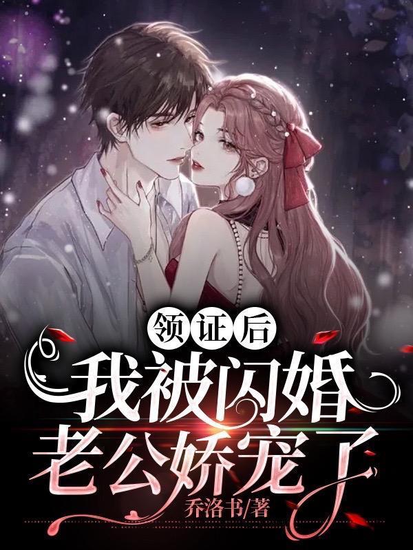 领证后，我被闪婚老公娇宠了封面