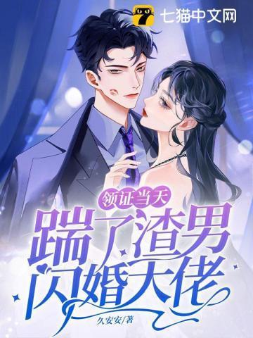 领证当天踹了渣男闪婚大佬封面
