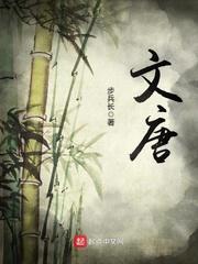 文唐封面