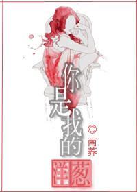 你是我的洋葱（叔宠）封面