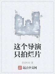 这个导演只拍烂片封面