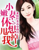 小嫩妻，休想甩掉我！封面