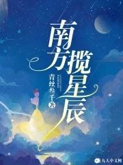 南方揽星辰封面