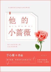 他的小蔷薇封面