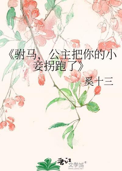 《驸马，公主把你的小妾拐跑了》封面