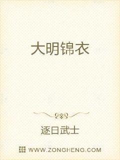 大明锦衣封面