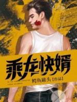乘龙快婿封面