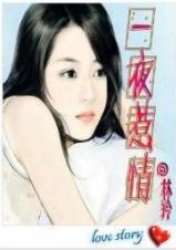 一夜惹情封面
