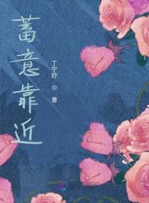 锦衣卫和大小姐的封面