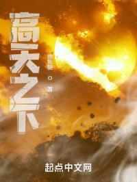 高天之下笔趣阁封面