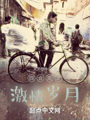 四合院之激情岁月封面