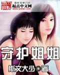 守护姐姐封面