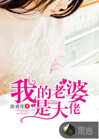 我的老婆是大佬封面