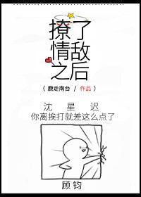 撩了情敌之后封面