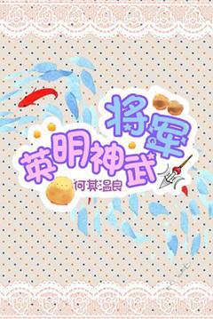 将军英明神武封面