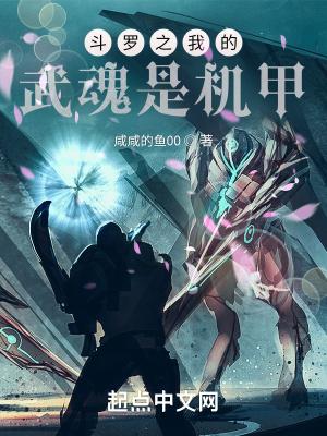 斗罗之我的武魂是机甲封面