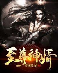 至尊神婿封面