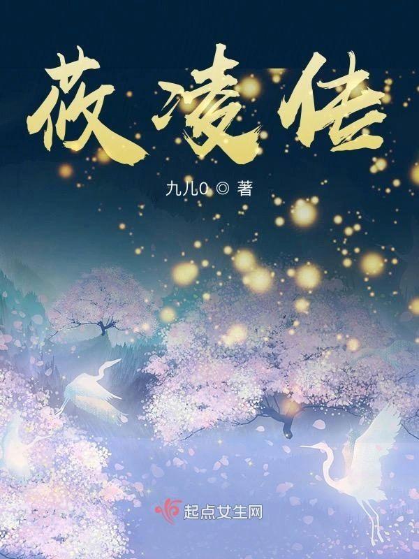 莜凌传封面