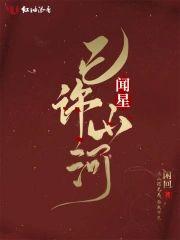 闻星已许山河封面