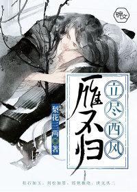 立尽西风雁不归封面