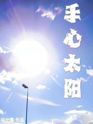 手心太阳封面