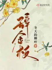 辞金枝封面