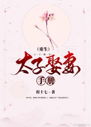 太子娶妻手册（重生）封面