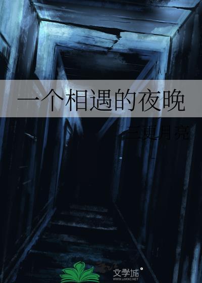 一个相遇的夜晚封面