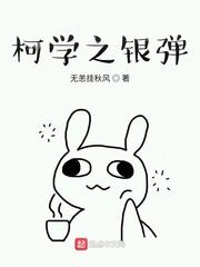 柯学之银弹封面