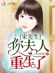 宋先生，你夫人重生了封面