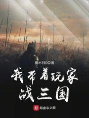 我带着玩家战三国封面